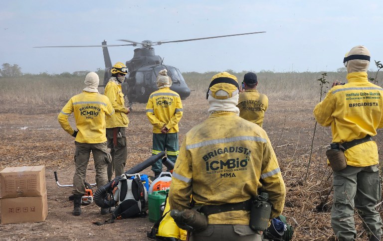 Animais e biodiversidade em perigo: Instituto Chico Mendes combate incêndios florestais pelo país